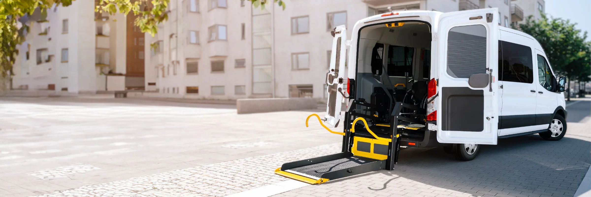 Ford Transit Commercial Wheelchair Transport Van - Idaho (1 of 1)